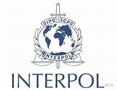 2024 年国际刑警组织抽签将于 2024 年 6 月 28 日举行